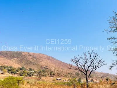Residential Stand For Sale in Concession