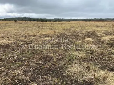 Farm for Sale in Gutu