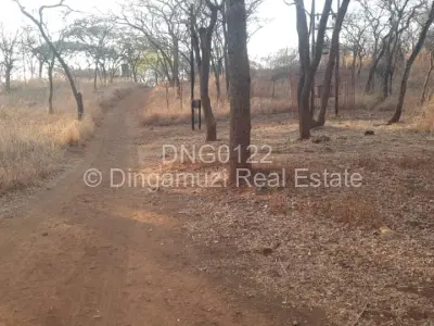 Land for Sale in Glen Forest