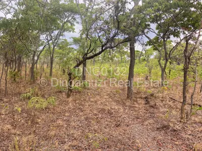 Farm/Plot For Sale in Marondera