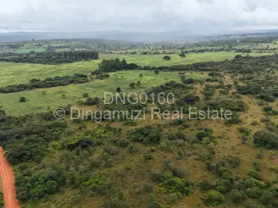 Farm/Plot For Sale in Chipinge