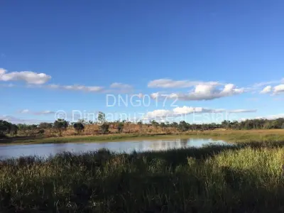 Farm/Plot For Sale in Gweru East