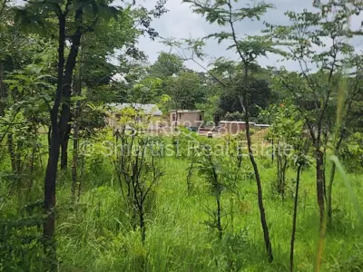 Farm/Plot For Sale in Chinhoyi