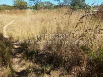 Stand for Sale in Nyabira
