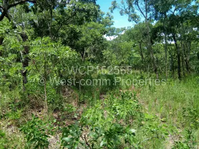 Farm for Sale in Glen Forest