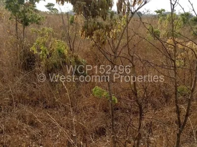 Stand for Sale in Crowhill Views