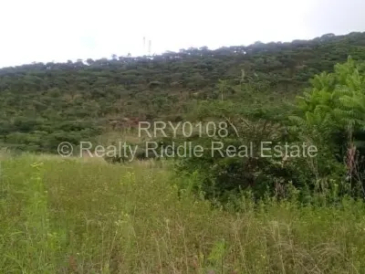 Farm/Plot For Sale in Norton