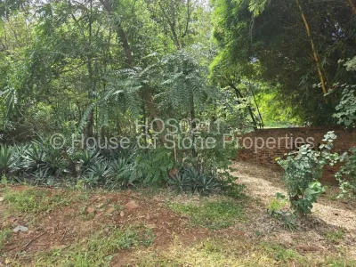Stand for Sale in Borrowdale Brooke