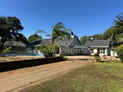 House For Rent in Alexandra Park