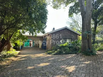 Cottage/Garden Flat For Rent in Alexandra Park