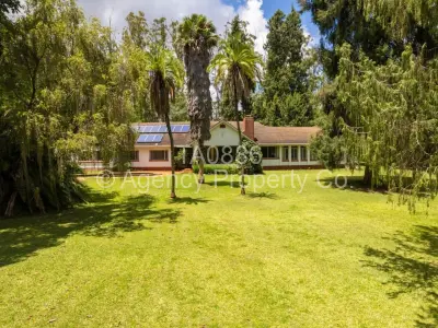 House For Sale in Chisipite