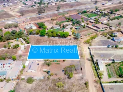 Stand for Sale in Erasmus Park