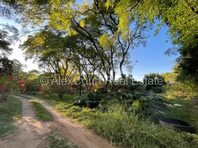 Stand for Sale in Borrowdale Brooke
