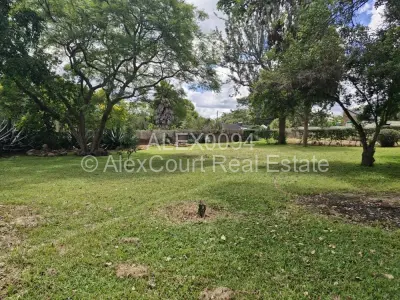 Stand for Sale in Glen Lorne