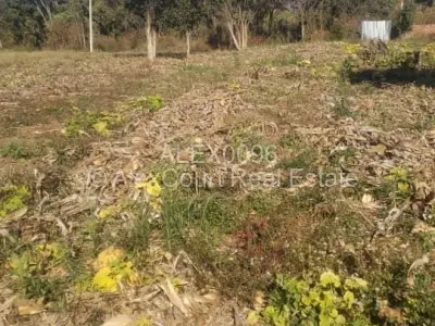 Stand for Sale in Mandara