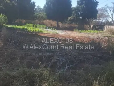 Stand for Sale in Helensvale