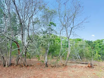 Land for Sale in Borrowdale Brooke
