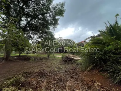 Residential Stand For Sale in Mount Pleasant