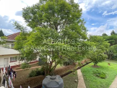 Flat/Apartment For Sale in Avondale