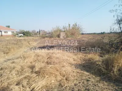 Stand for Sale in Lochinvar