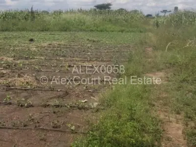 Farm for Sale in Norton