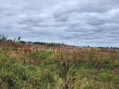 Stand for Sale in Mount Pleasant
