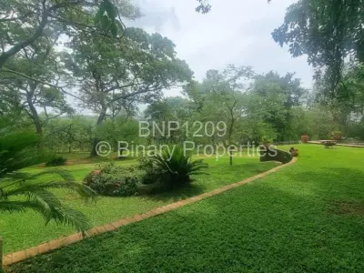 Residential Stand For Sale in Hogerty Hill