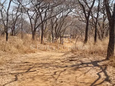 Farm/Plot For Sale in Harare