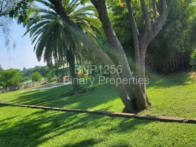 House For Sale in Matsheumhlope