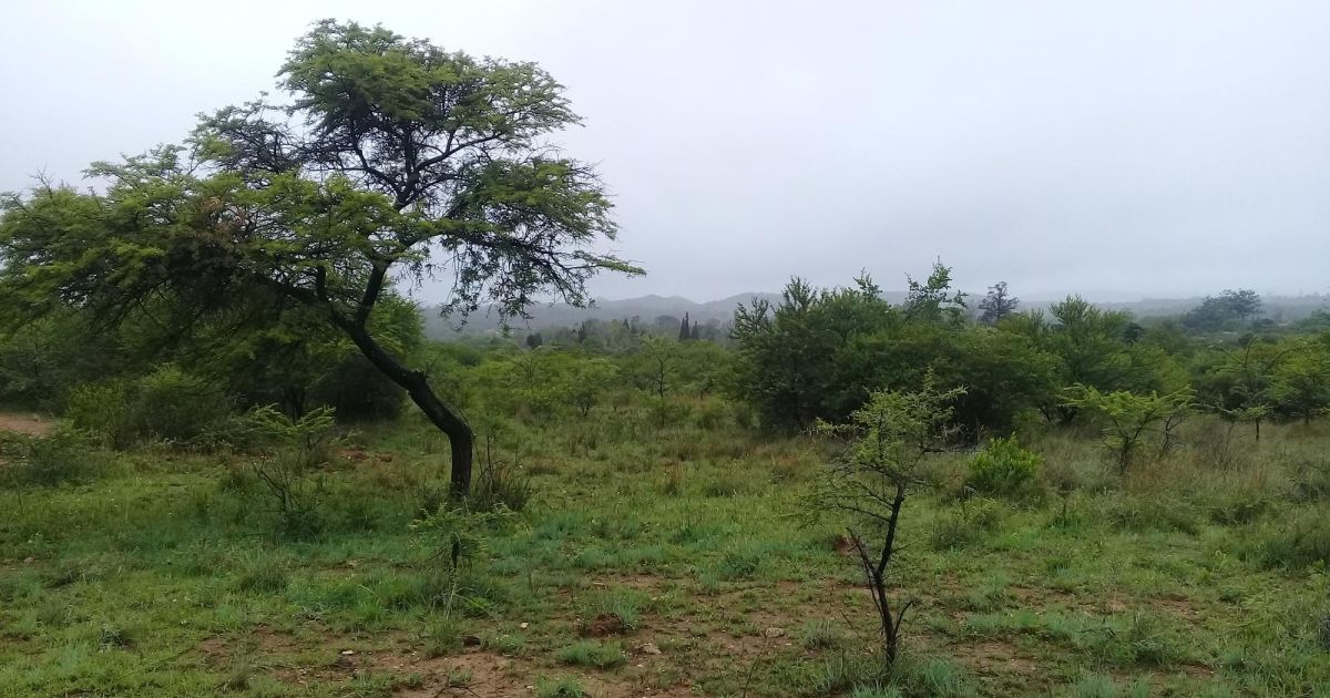 Land for Sale in Gumtree, Bulawayo Propertybook