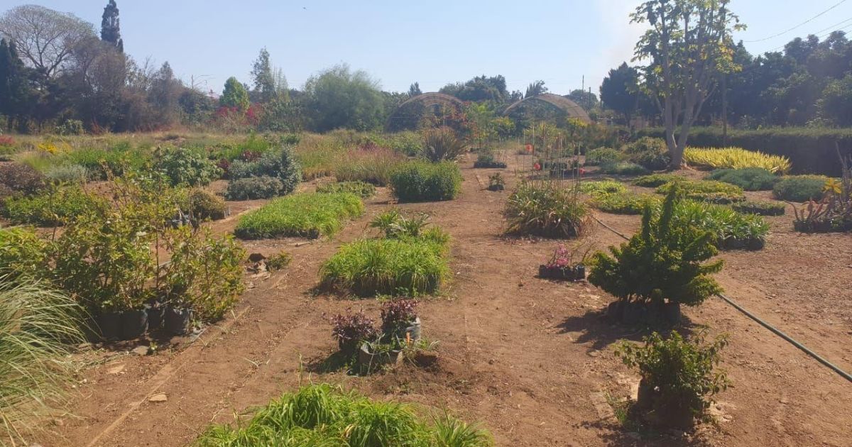 Land for Sale in Mount Hampden, Harare Propertybook