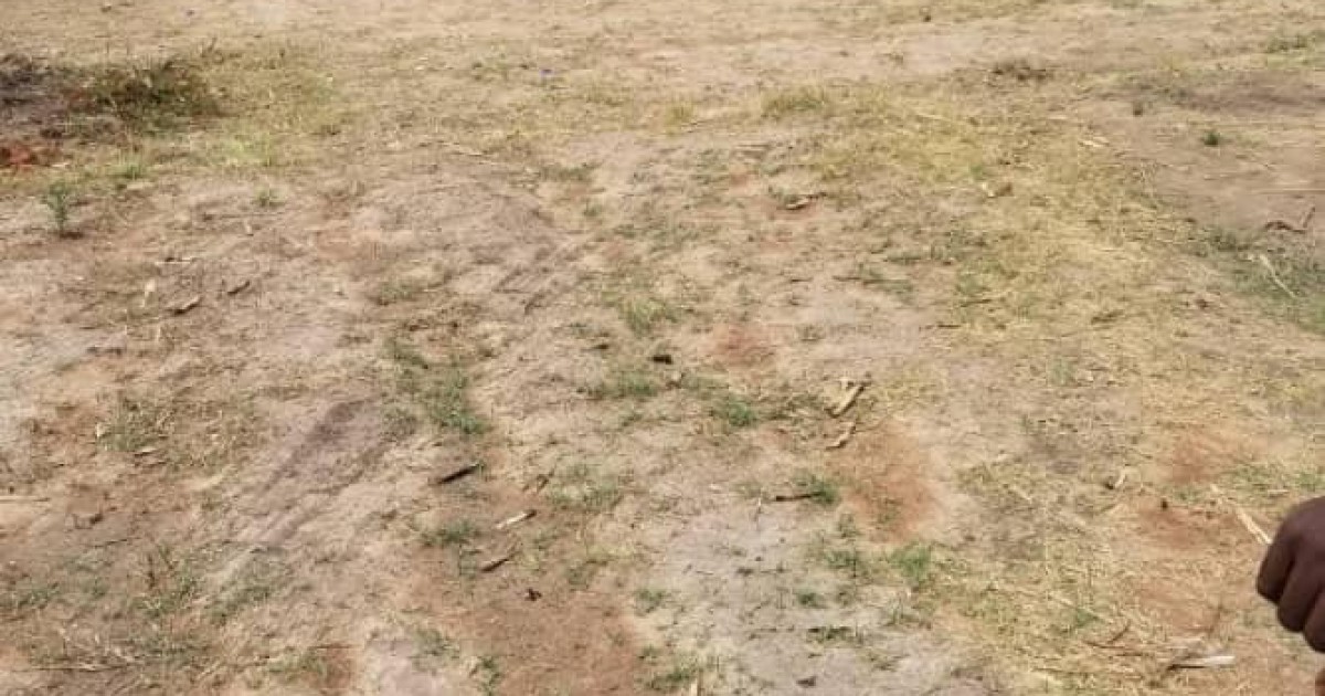 Stand for Sale in Dzivarasekwa, Harare Propertybook