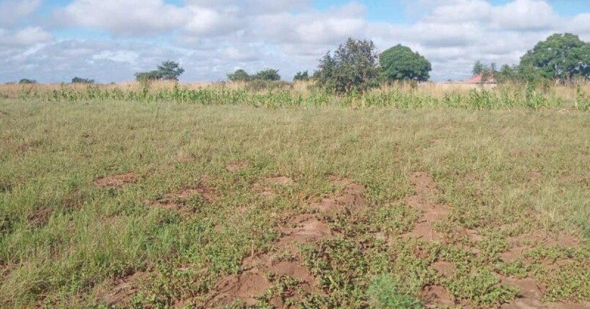 Stand for Sale in Chitungwiza Stands.co.zw